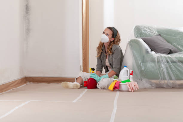 Reliable Mold Remediation contractor in Winnetka, IL by WQB Mold Removal
